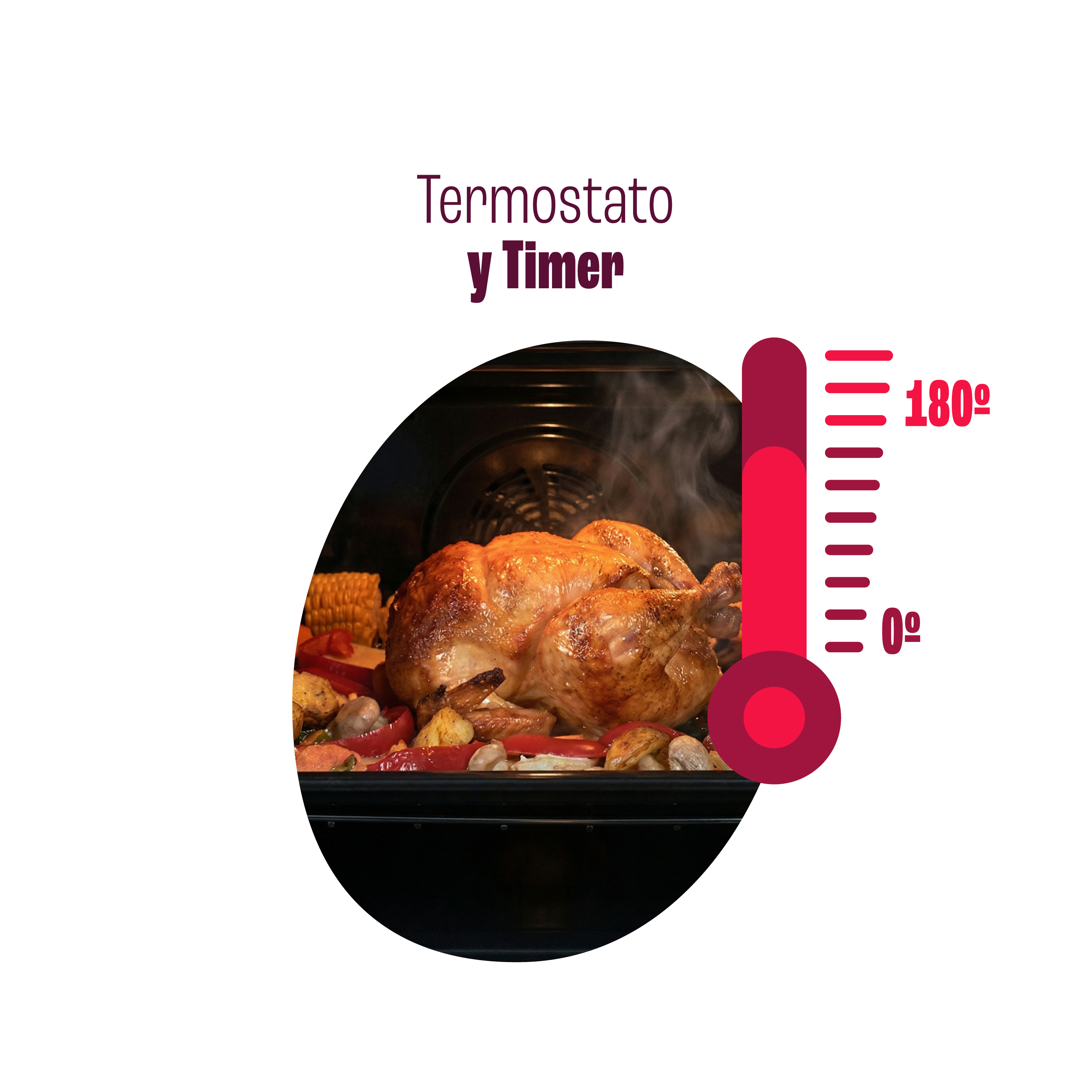 Termostato y Timer